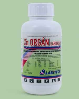 Zn Orgán Labitech