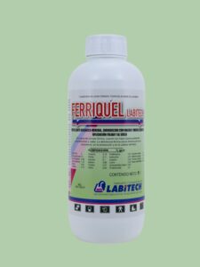 Ferriquel Labitech