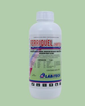 Ferriquel Labitech
